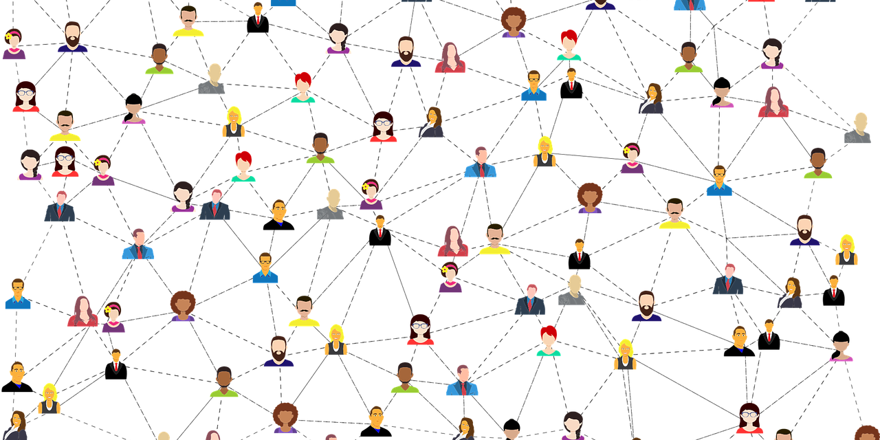 Large Partnership Network